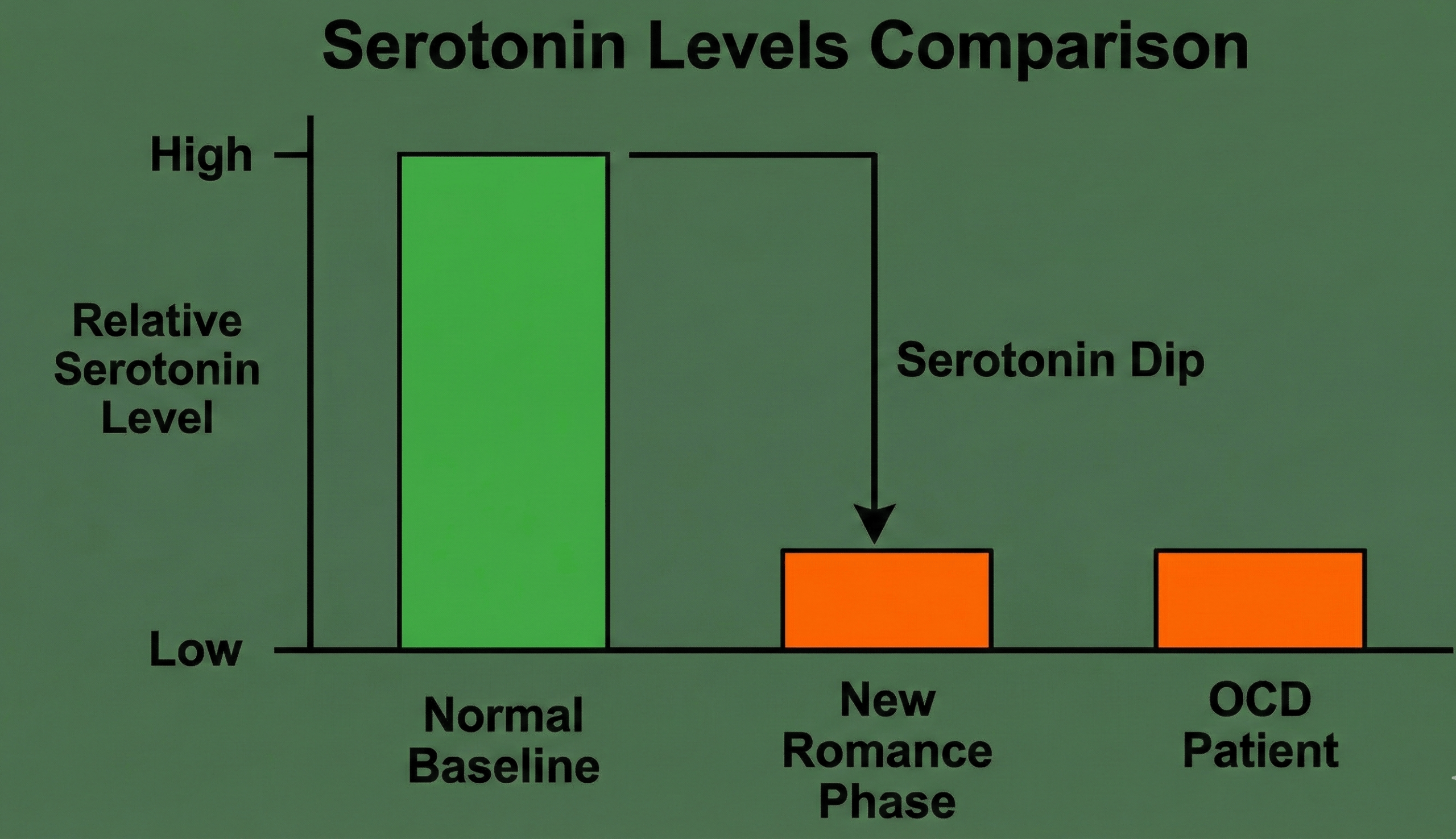 Bar graph comparing high normal serotonin levels with the low serotonin levels found in the new romance phase and OCD patients.